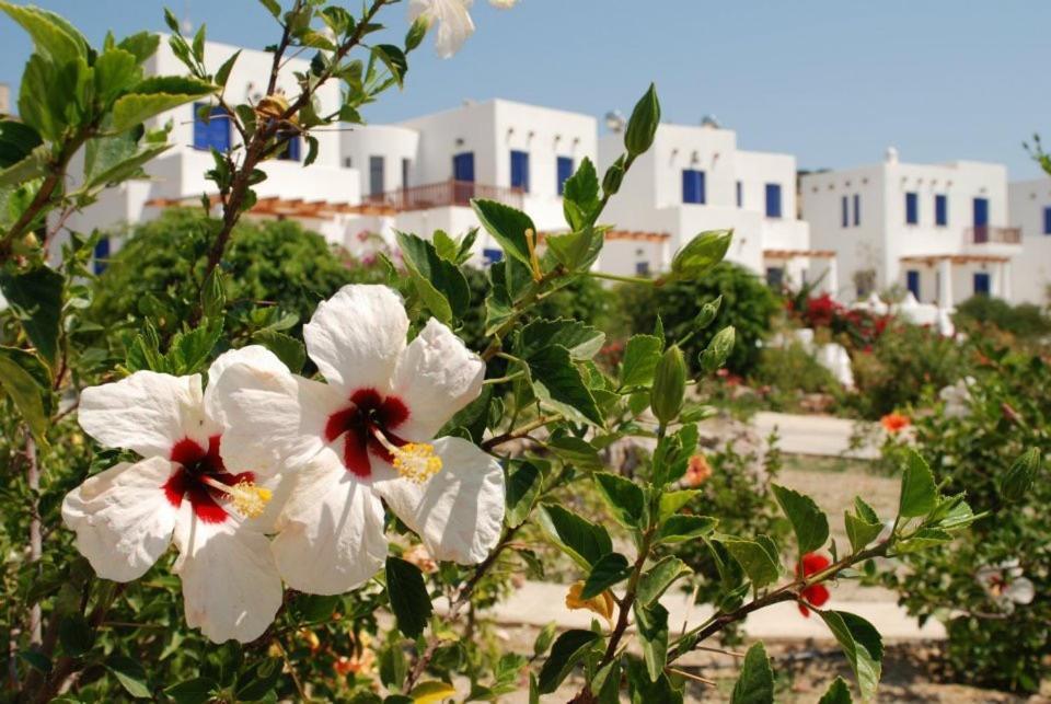 Niriedes Villas Lipsi Exterior foto